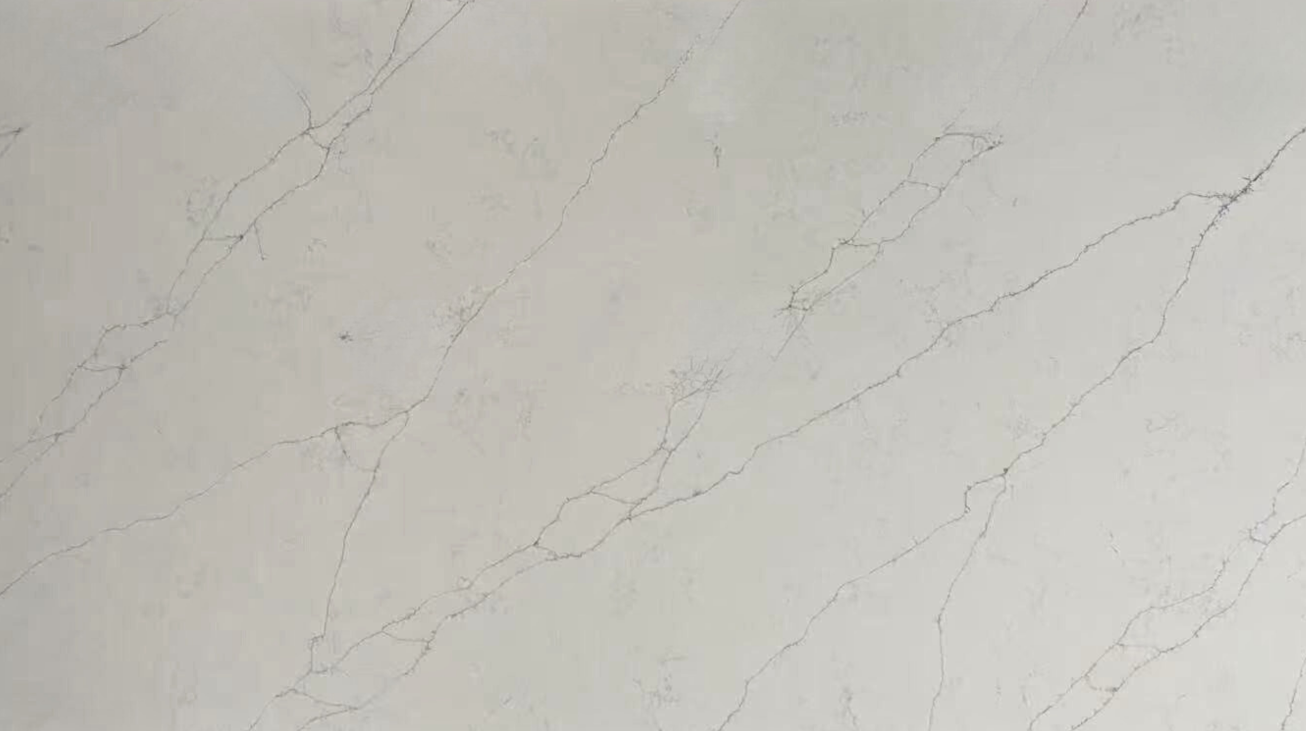 Bianco Aurelia