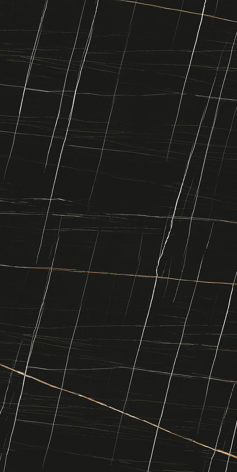 Sahara Noir