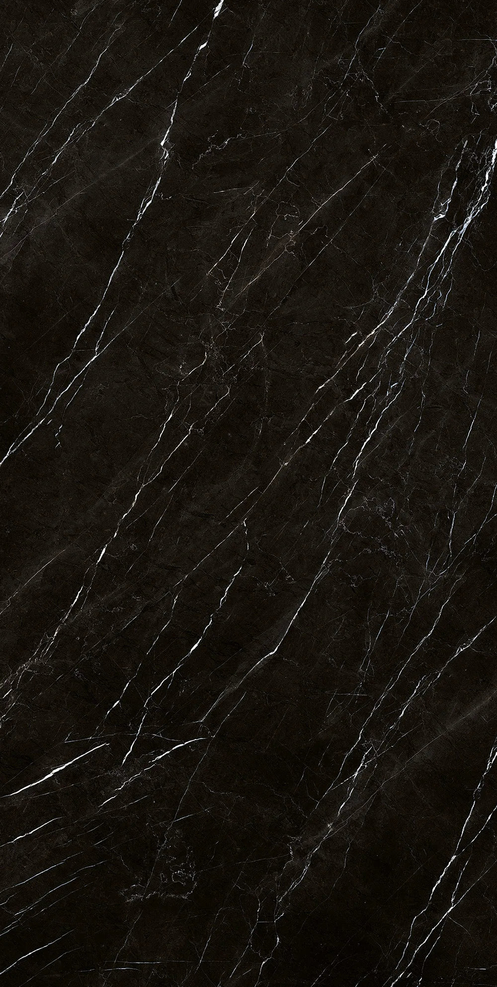 Nero Marquinia