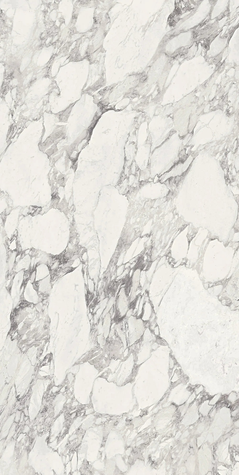Calacatta Magnifico