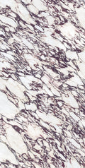 Calacatta Viola