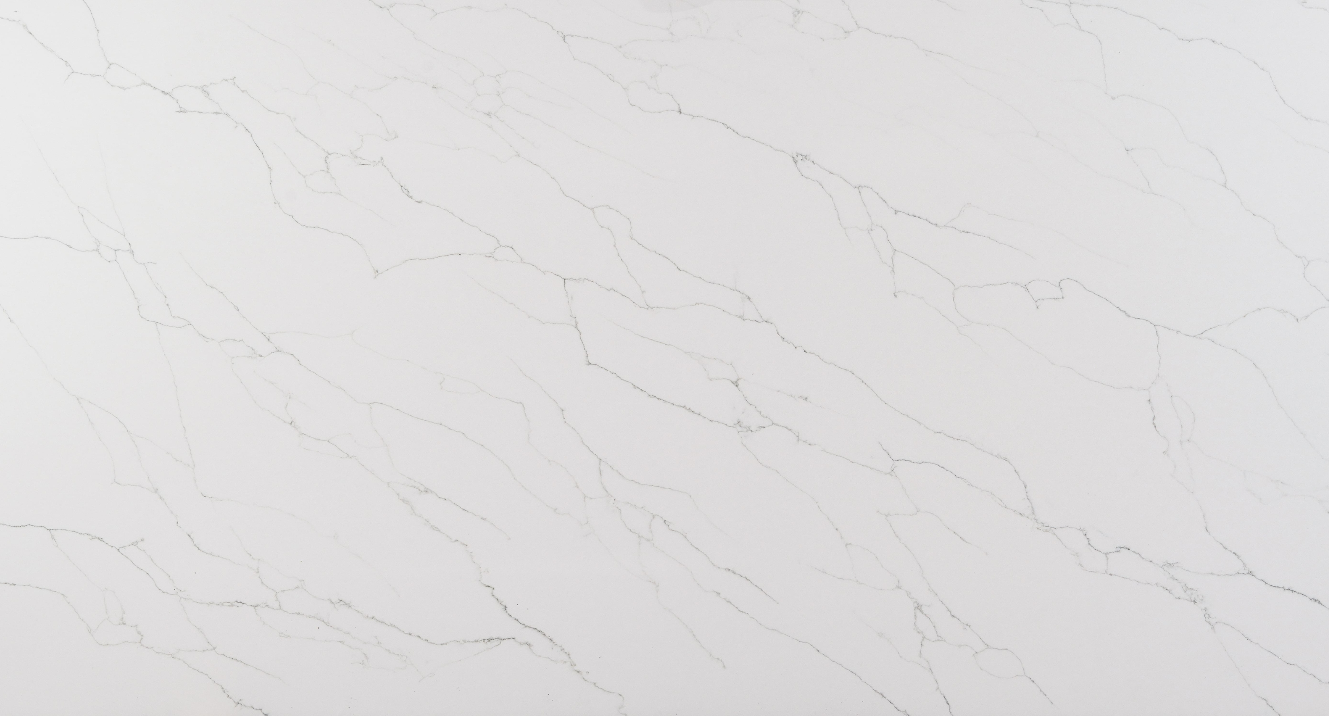 Regalia Bianco